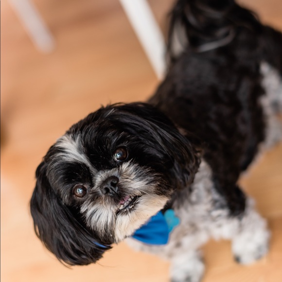 Meet your Posher, Jenna - Picture 1 of 1